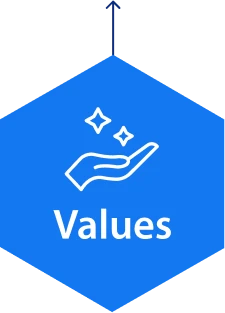 Values