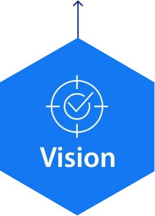 Vision